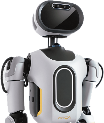 682653b9bdb96bae7bcfed8d_Orca_01